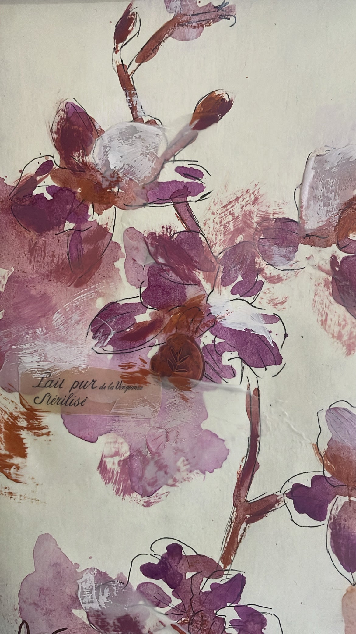 Spring Blooms Orchids Framed Watercolor Sketch